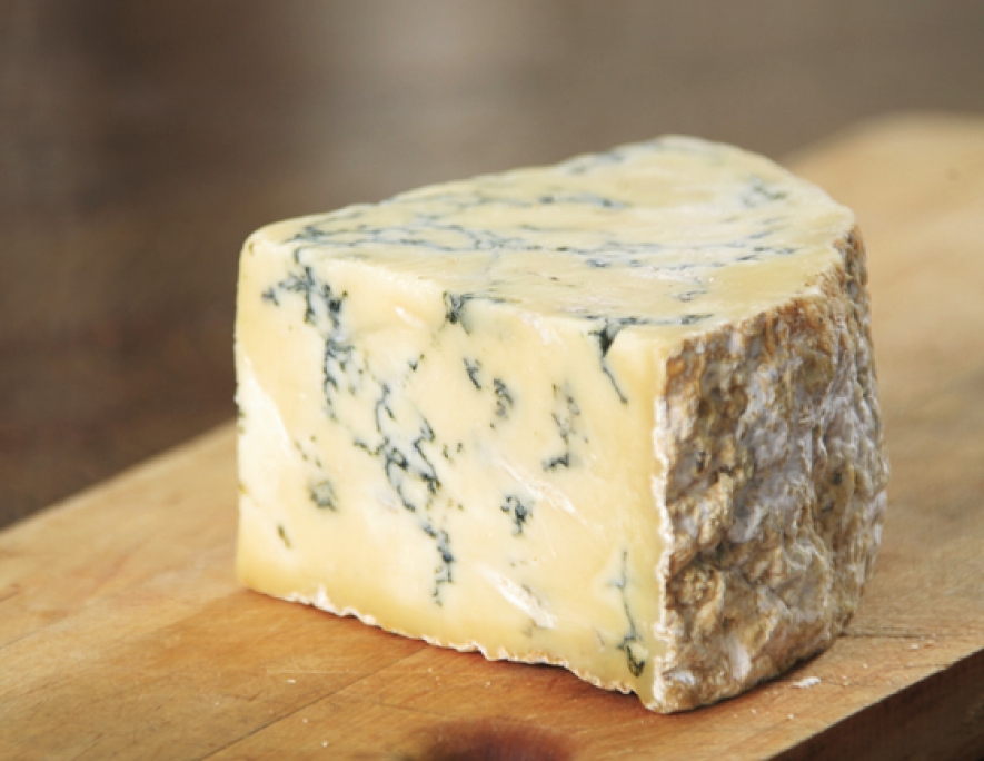 Cheese Please! We Look at 4 of the Best Cheeses for Burgers.
